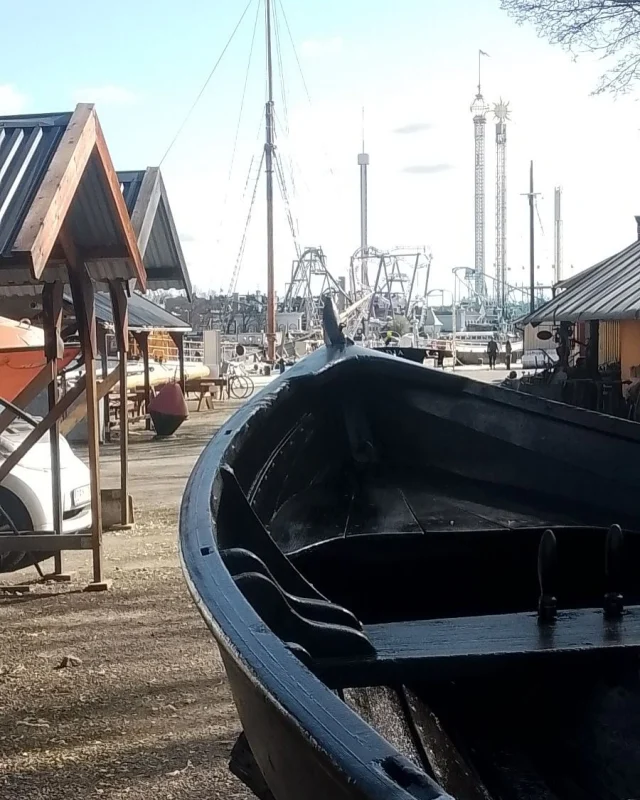 Vårrustning av Sjöfröken. Målad med Roslagslagsmahogny, en blandning av lika delar tjära, linolja och balsamterpentin. Nya årtullar av ek och nytt läder på åror. Liten movie 🌟 som medverkat i filmer som Historieätarna och Min mor. #båtkurs #skeppsholmensfhsk